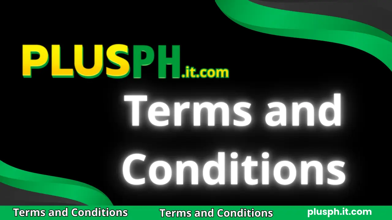 Terms and Conditions 